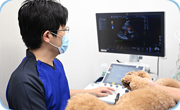 心臓病専門外来